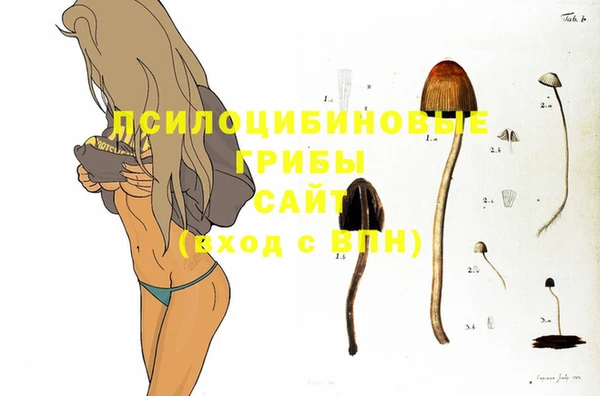 PSILOCYBIN Абдулино