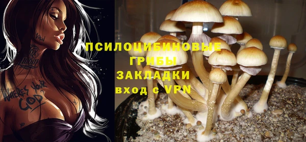 PSILOCYBIN Абдулино