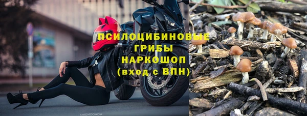 PSILOCYBIN Абдулино