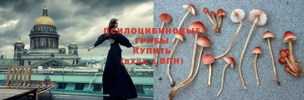 МДПВ Абаза