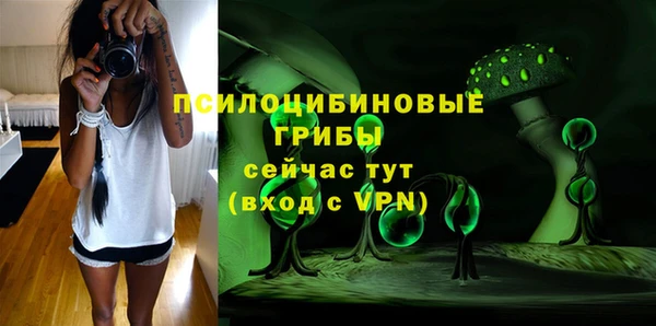 PSILOCYBIN Абдулино