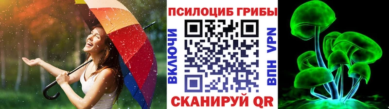 Псилоцибиновые грибы мухоморы  Майский 